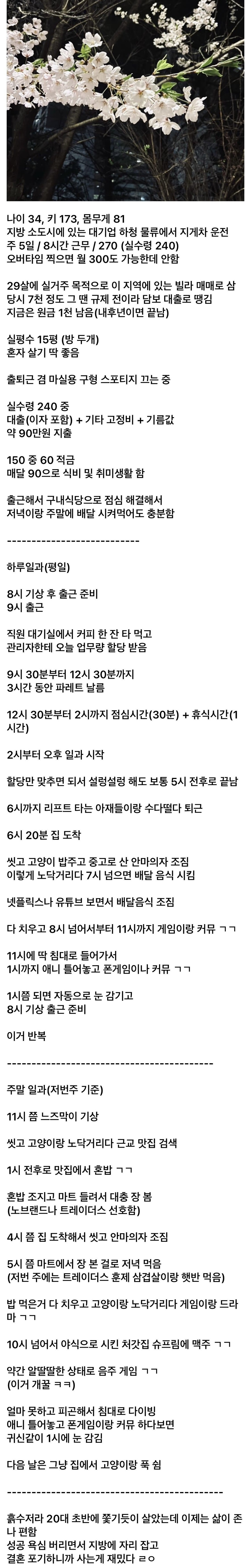 결혼을 포기했다는 30대 디시인의 삶 | 인스티즈