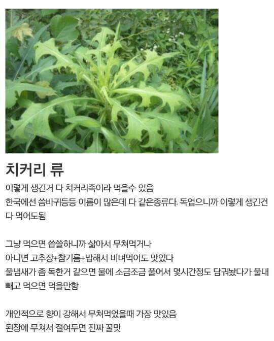 흙수저 갤러리 올타임 레전드......가난그릴스.....JPG | 인스티즈