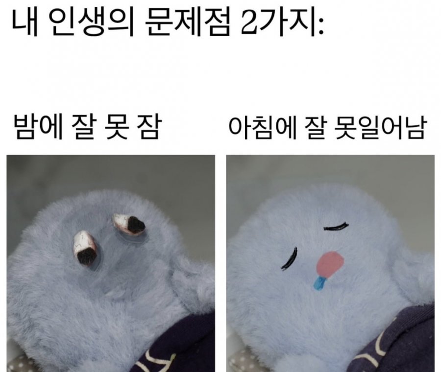 내 인생의 문제점 | 인스티즈