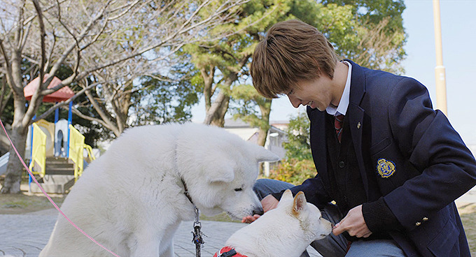 [늑대소녀와흑왕자] 남주가 쓰레기라 생각이 들다가도 와꾸보면 화가 풀리다가도 쓰레기라 생각이 드는 영화 04 | 인스티즈