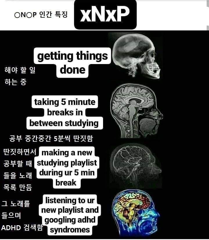 MBTI 검사에서 *N*P 나오는 사람들 특징.jpg | 인스티즈
