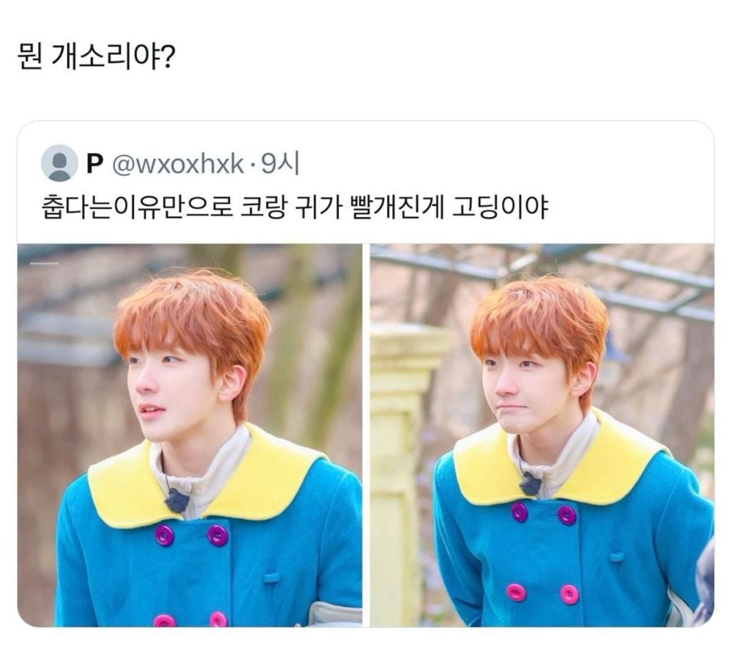 [억빠모음] 이 정도로 무언가를 착즙할 수 있는 사람만이 예술을 한다고 하는 거구나 | 인스티즈