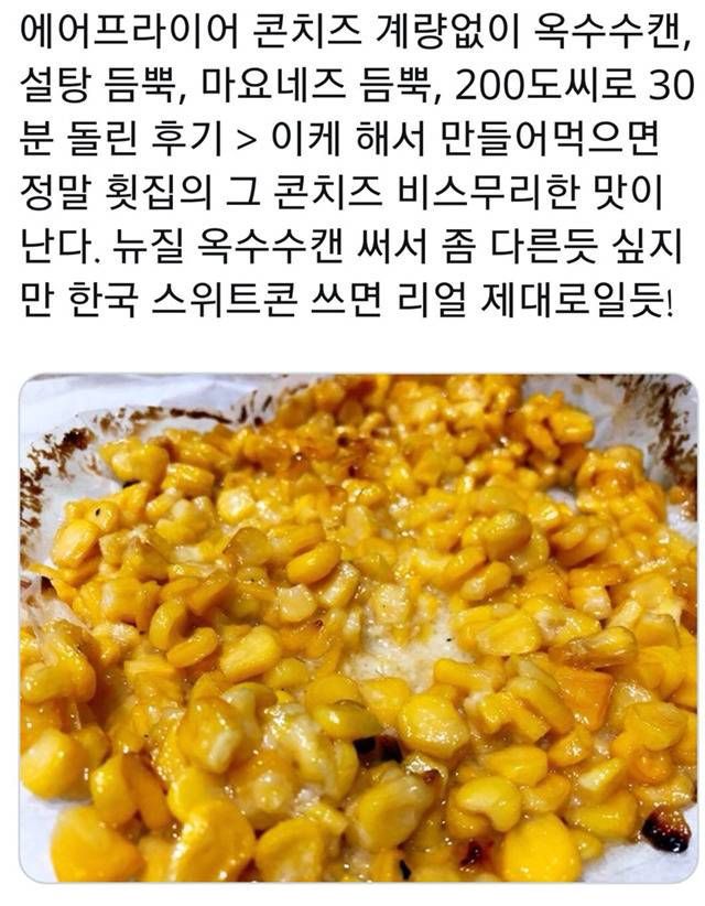 에어프라이어 초간단 레시피 모음 (부제 : 다들 에어프라이어를 사자!!) | 인스티즈