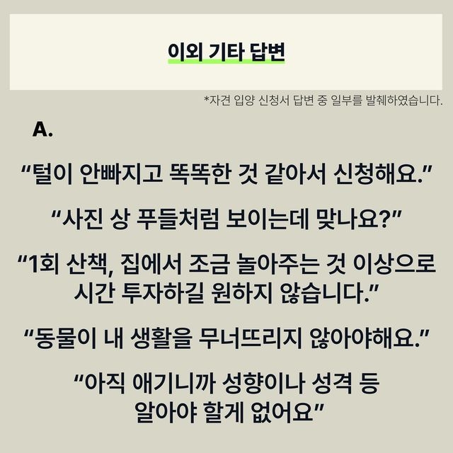 유기견 입양 = 공짜로 어린 품종견 입양이라고 생각하는 사람들 많은듯.. | 인스티즈