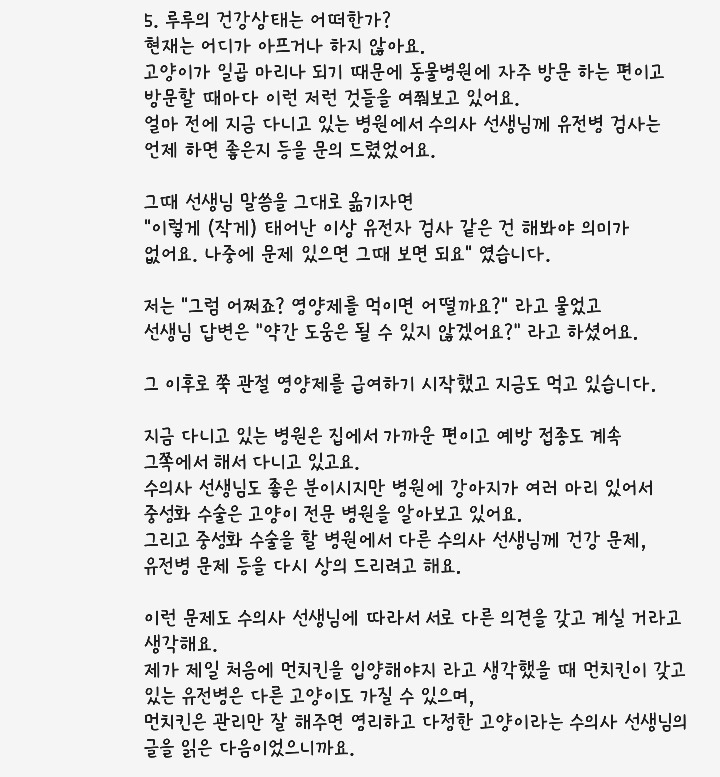 크림히어로즈 루루 총 정리 | 인스티즈