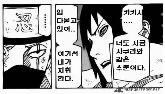 눈물 나는 카카시의 일생 . jpg | 인스티즈