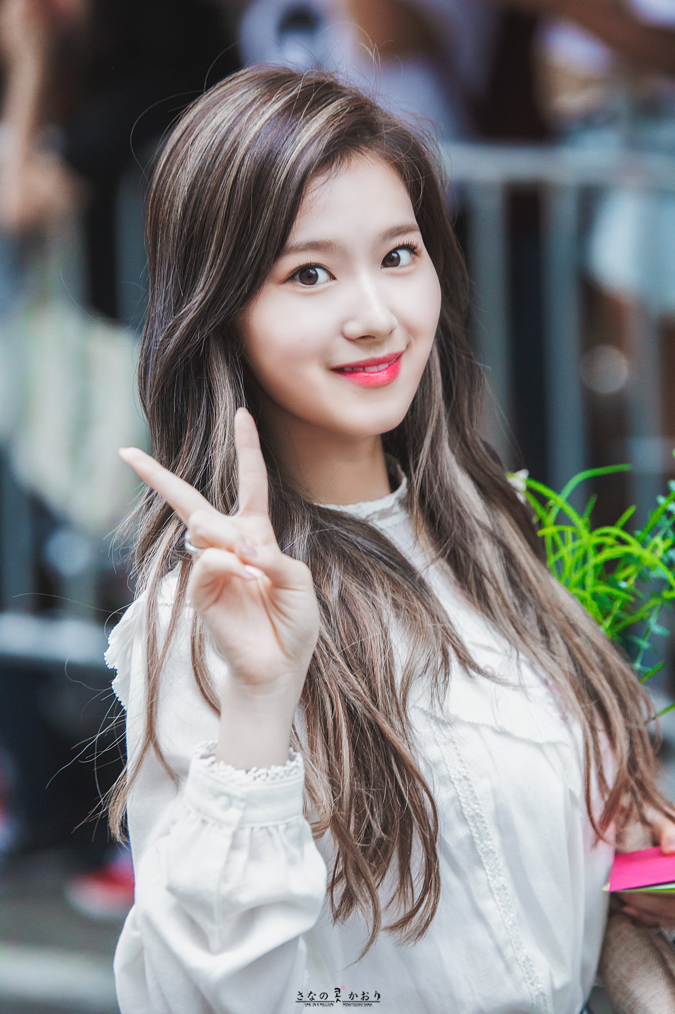 사나 좋아하시나요?.jpg | 인스티즈