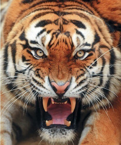 왜 많은 덕후들이 리버스를 싫어하는가?(feat.신리멸) | 인스티즈