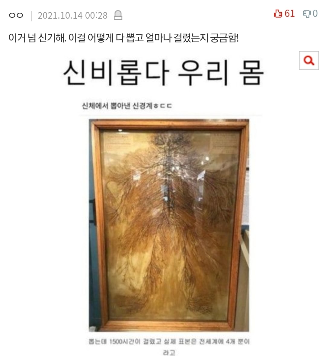 살면서 본 충격적인 심해/우주/인체썰 댓글 | 인스티즈