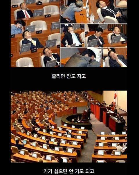 대한민국 꿀직업 | 인스티즈