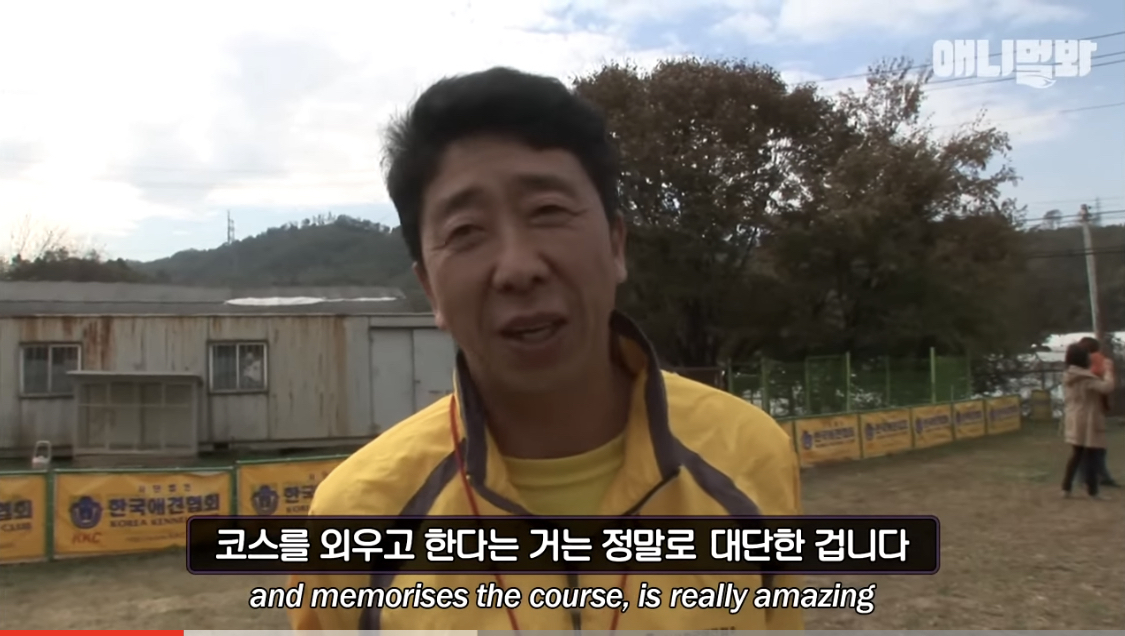 강아지를 짝사랑하는 어질리티 천재냥 나비 | 인스티즈