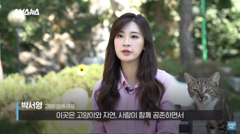 한국 최초 야외 고양이 카페 | 인스티즈