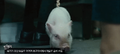 영화 [검은사제들] 볼 때 공감 ㅋㅋㅋㅋ | 인스티즈