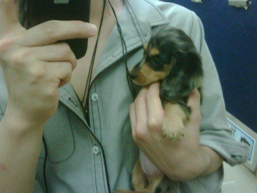 남자 아이돌이 키우는 강아지들 | 인스티즈