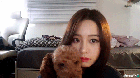 아프리카tv 인기 여자비제이 사진정리 모음 | 인스티즈