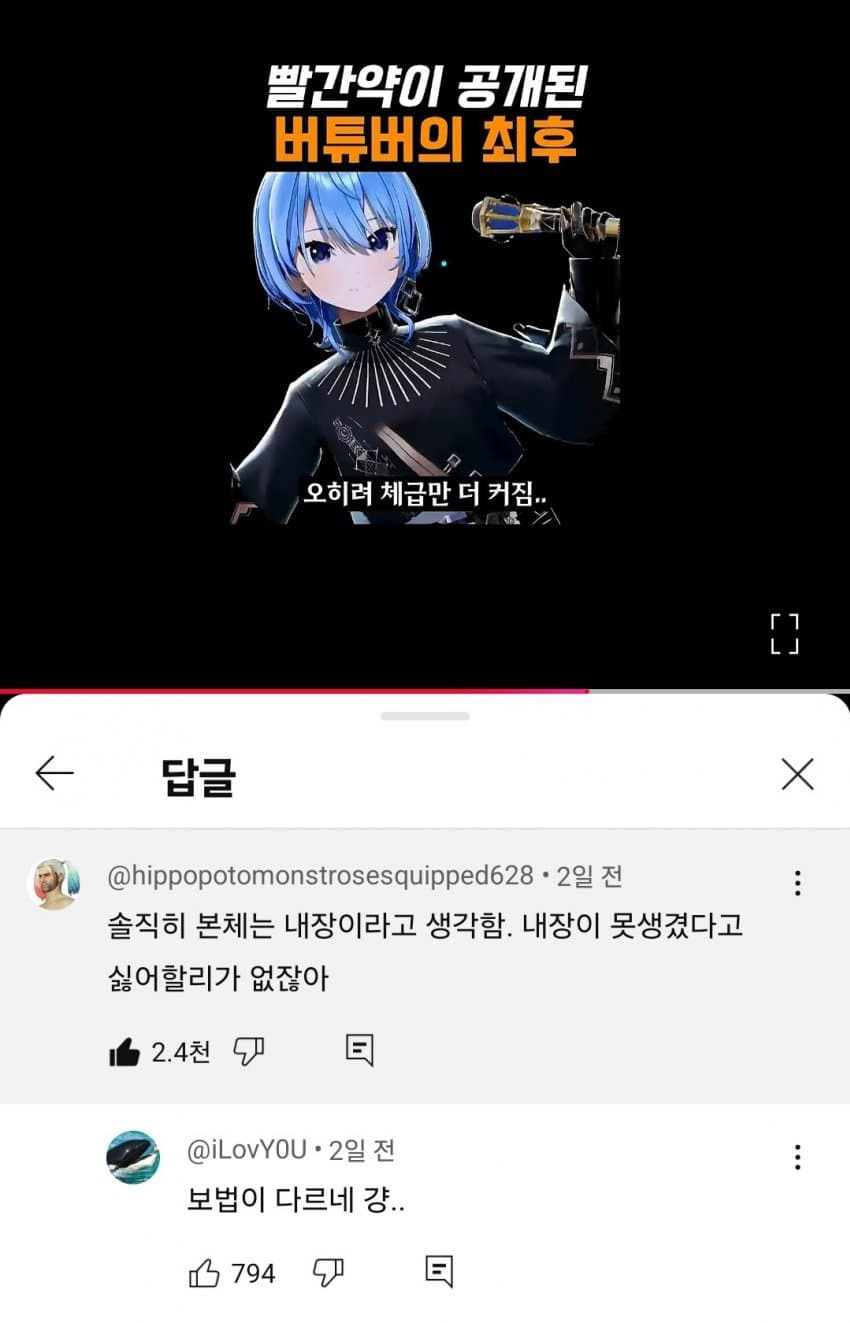 버튜버 본체 알아도 덕질 가능한 이유 | 인스티즈