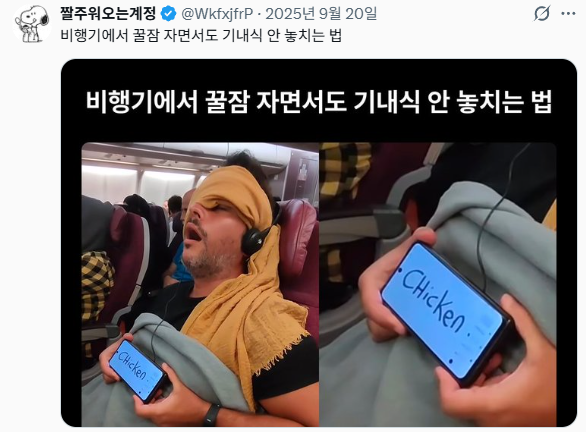 자기전에 보기 좋은 소소잼 트위터 모음 | 인스티즈