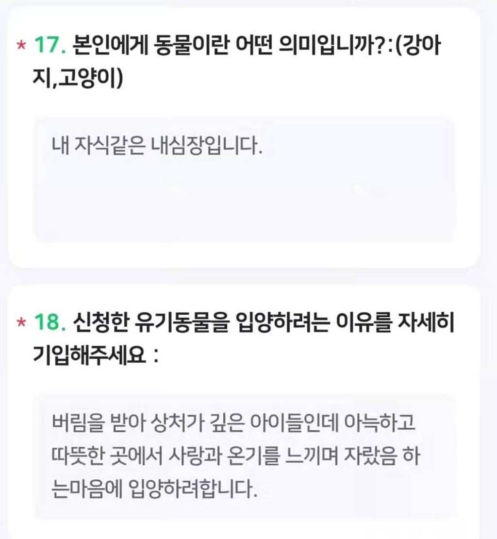 입양 허들 높아서 이정도는 해야 입양 가능 | 인스티즈