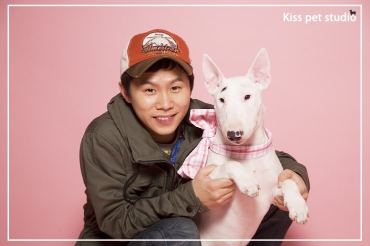 ＜중형견의 크기에 대해 알아보자＞ | 인스티즈