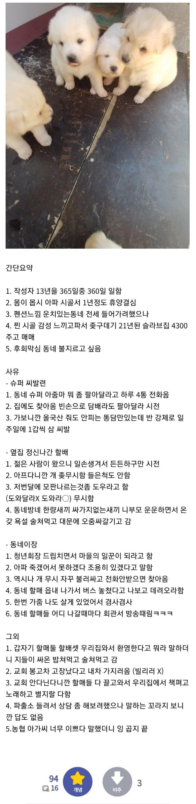 농협 아가씨가 너무 이뻤던 디시인 .jpg | 인스티즈
