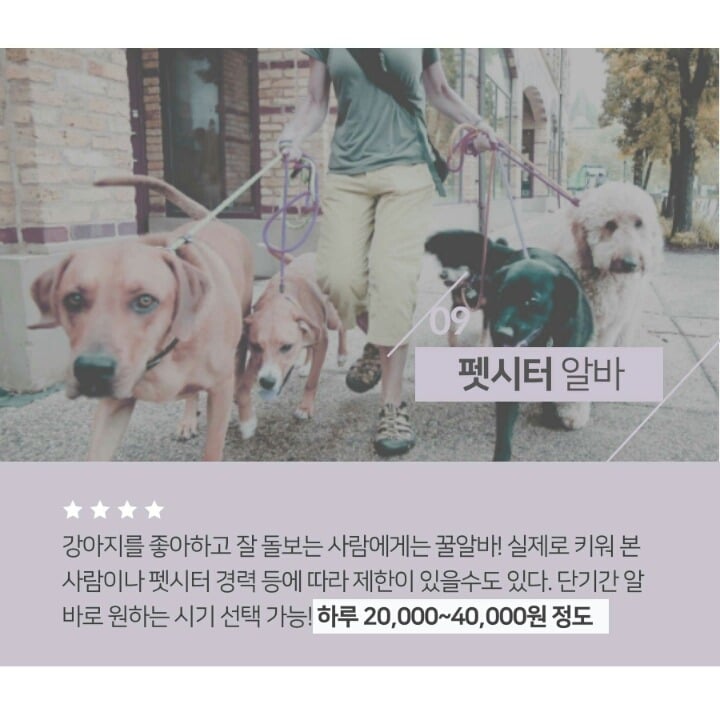 학기중에 하기 좋은 꿀알바 팁.jpg | 인스티즈