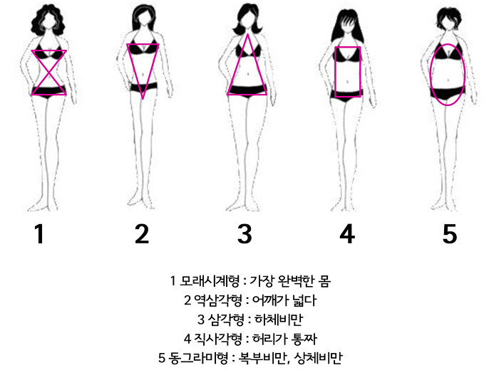 여자들의 5가지 몸매 유형 | 인스티즈