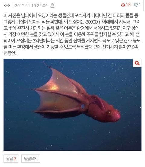 살면서 본 충격적인 심해/우주/인체썰 댓글 | 인스티즈