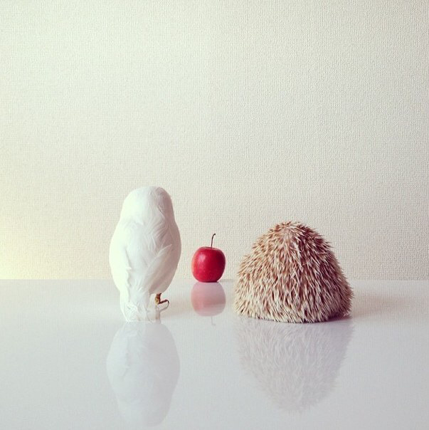 자살시 받는 고통들에 대한 오해 (멘탈 약하신분은 뒤로가기) | 인스티즈