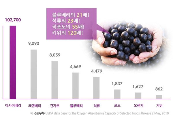 먹자마자 동안된다는 아사이베리 | 인스티즈