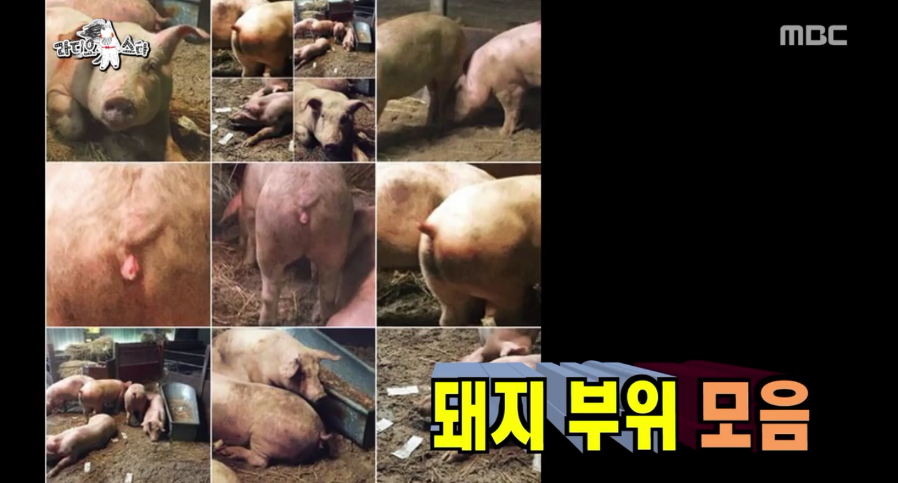 [라스] 진짜 좀 이상한 빅뱅 탑ㅋㅋㅋ.jpg | 인스티즈