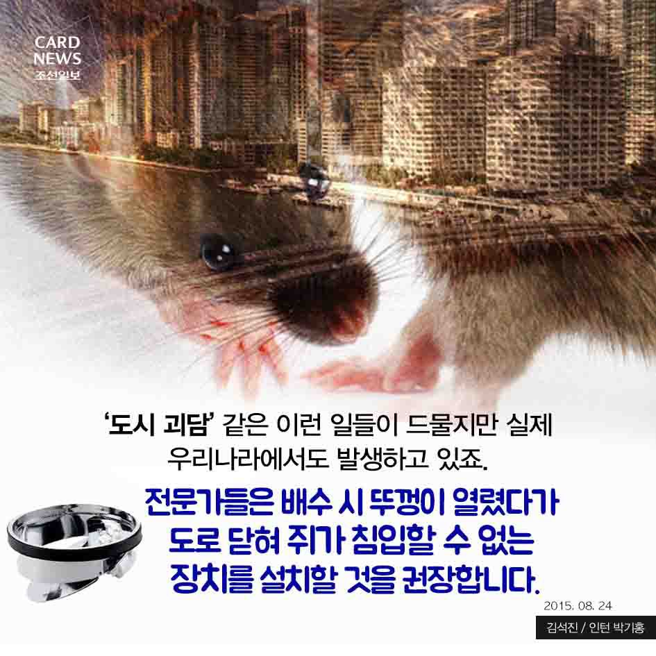 혐주의) 화장실 변기 통해 집안으로 들어오는 쥐 | 인스티즈