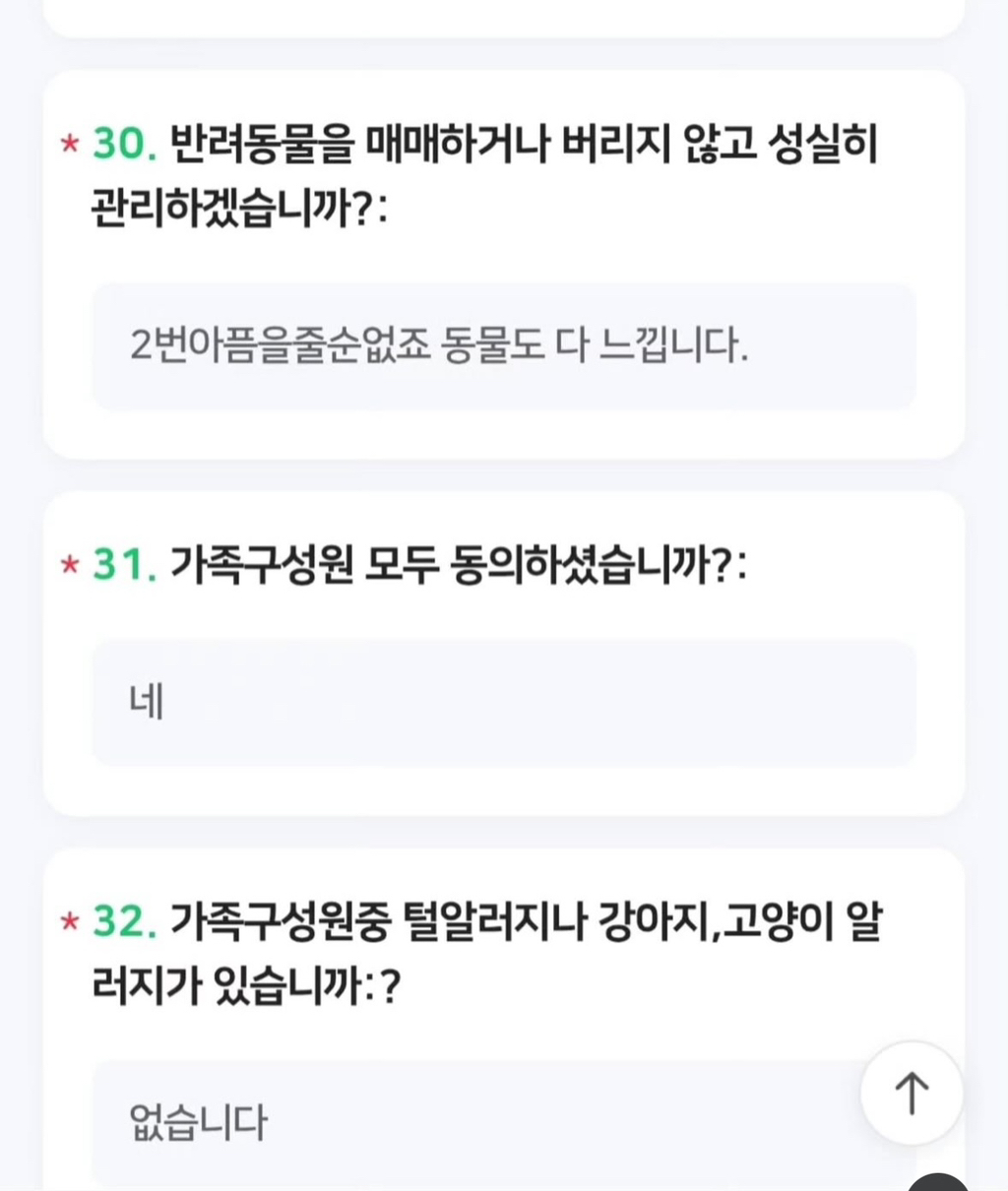 입양 허들 높아서 이정도는 해야 입양 가능 | 인스티즈