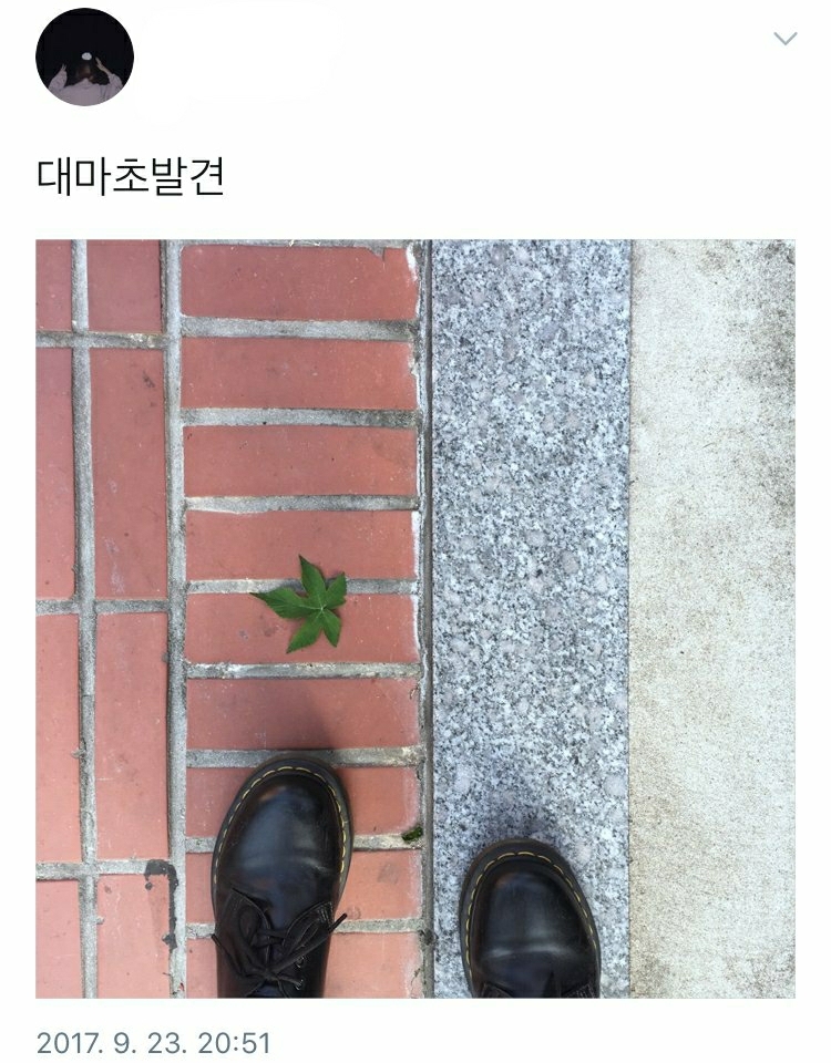 인스타 감성 vs 트위터 감성 | 인스티즈