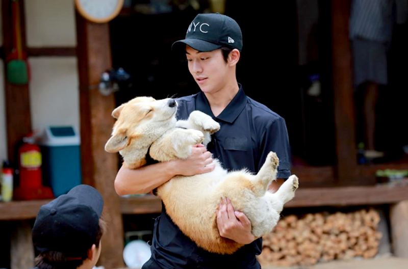 ＜중형견의 크기에 대해 알아보자＞ | 인스티즈