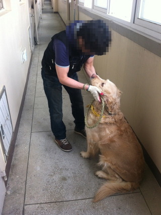 고독사, 자살현장 특수청소 에피소드들 | 인스티즈