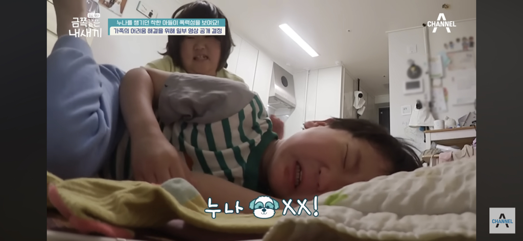 금쪽이에서 출연자 보호로 현장에서만 원본 공개되었다는 충격적인 영상의 일부 | 인스티즈