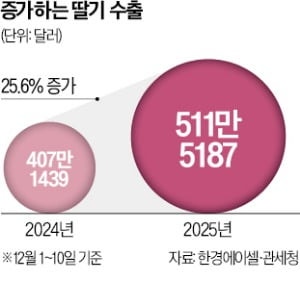 "韓딸기 맛있다" SNS 타고 수출 30% 급증 | 인스티즈