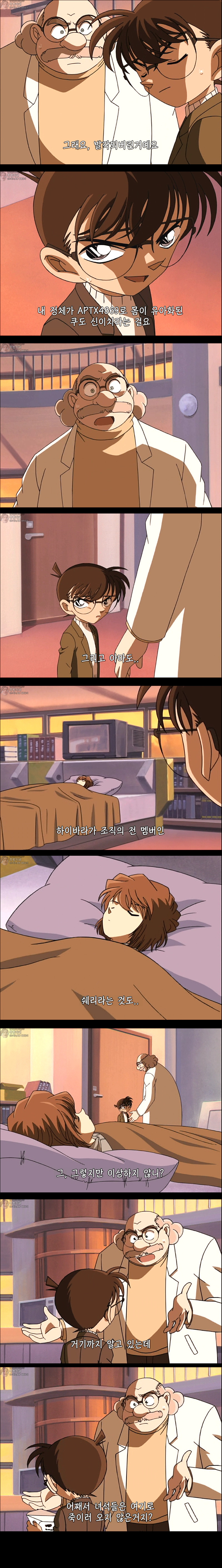 [명탐정코난] 만월의 밤 두개의 미스테리 - 1 | 인스티즈