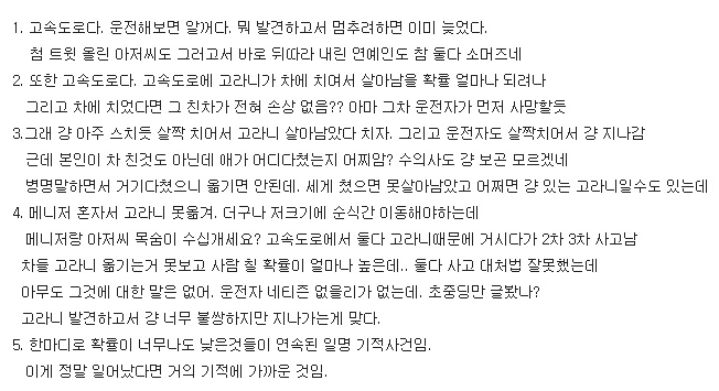 다시보는 한효주 고라니 사건 | 인스티즈