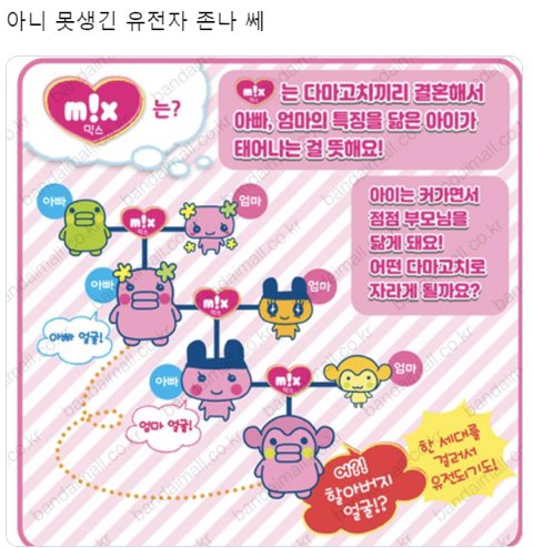 못생긴 남자랑 결혼하면 안되는 이유.. | 인스티즈