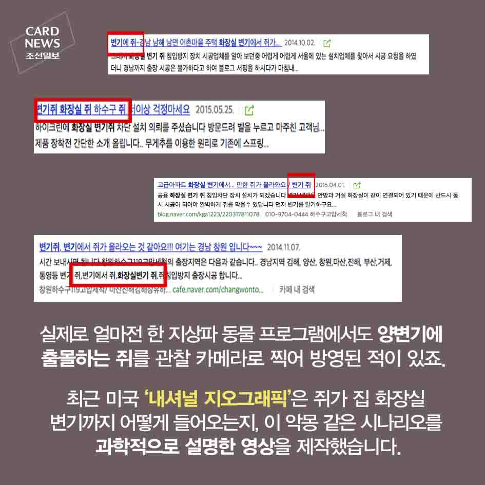 혐주의) 화장실 변기 통해 집안으로 들어오는 쥐 | 인스티즈