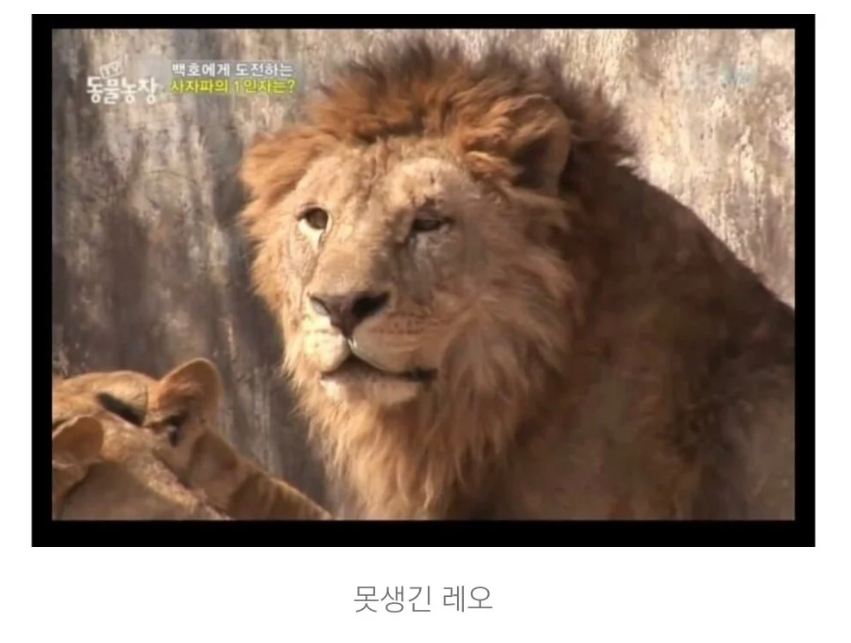 "진정한 이성적 사랑은 외모로부터 나온다" | 인스티즈