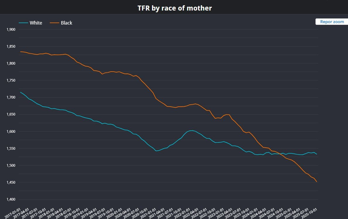 의외로 미국서 백인보다 출산율이 낮은 인종 | 인스티즈
