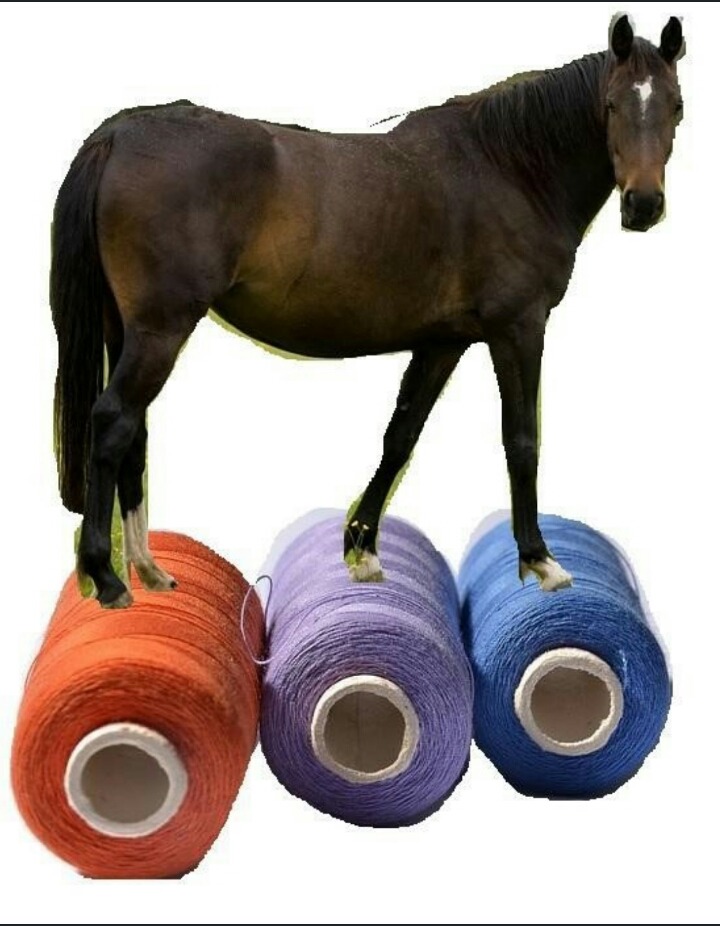 아 나 실탄말이야!!!! | 인스티즈