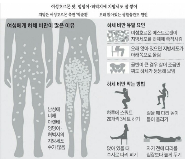 여자들이 하체비만 많은 이유 + 하체비만 꿀팁! | 인스티즈