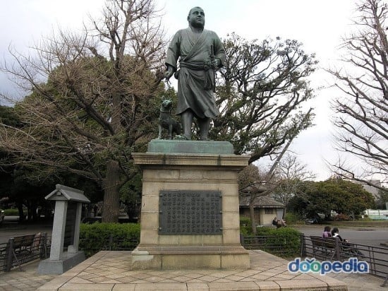 한국인이면 알아야될 일본의 욱일기/ 전범기, 풍어기에 대한 설명과 차이점 | 인스티즈