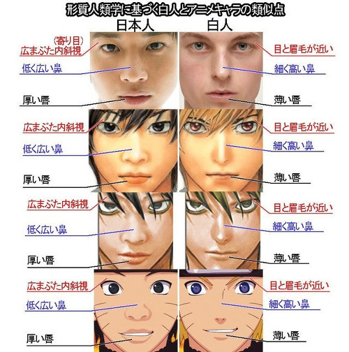 백인들과 같다고 착각하는 한국인과 일본인 (명예백인) | 인스티즈