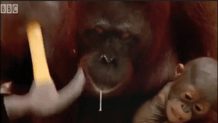 실습하는 4학년과 1학년생 조를 보는 교수 .gif | 인스티즈