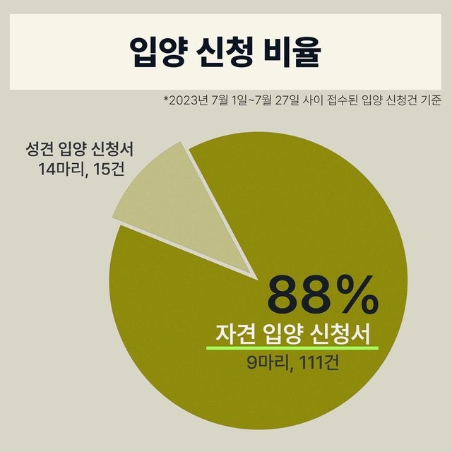 유기견 입양 = 공짜로 어린 품종견 입양이라고 생각하는 사람들 많은듯.. | 인스티즈