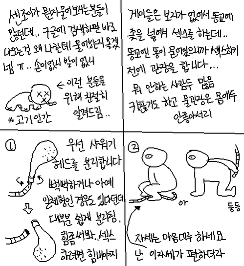 19금) 게이의 섹스문화 | 인스티즈